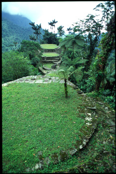 cite perdue-17.jpg